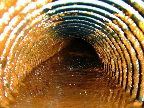 Obstruction d'un drain français par un dépôt d'ocre ferreuse | G.S. Dubois